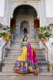 Muster Tussar Silk Lehenga Choli with Kalamkari With Foil Work