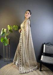 Grey RV Butterfly Net Embroidery Saree with Chain Stitch, Foil Thread & Stone Work