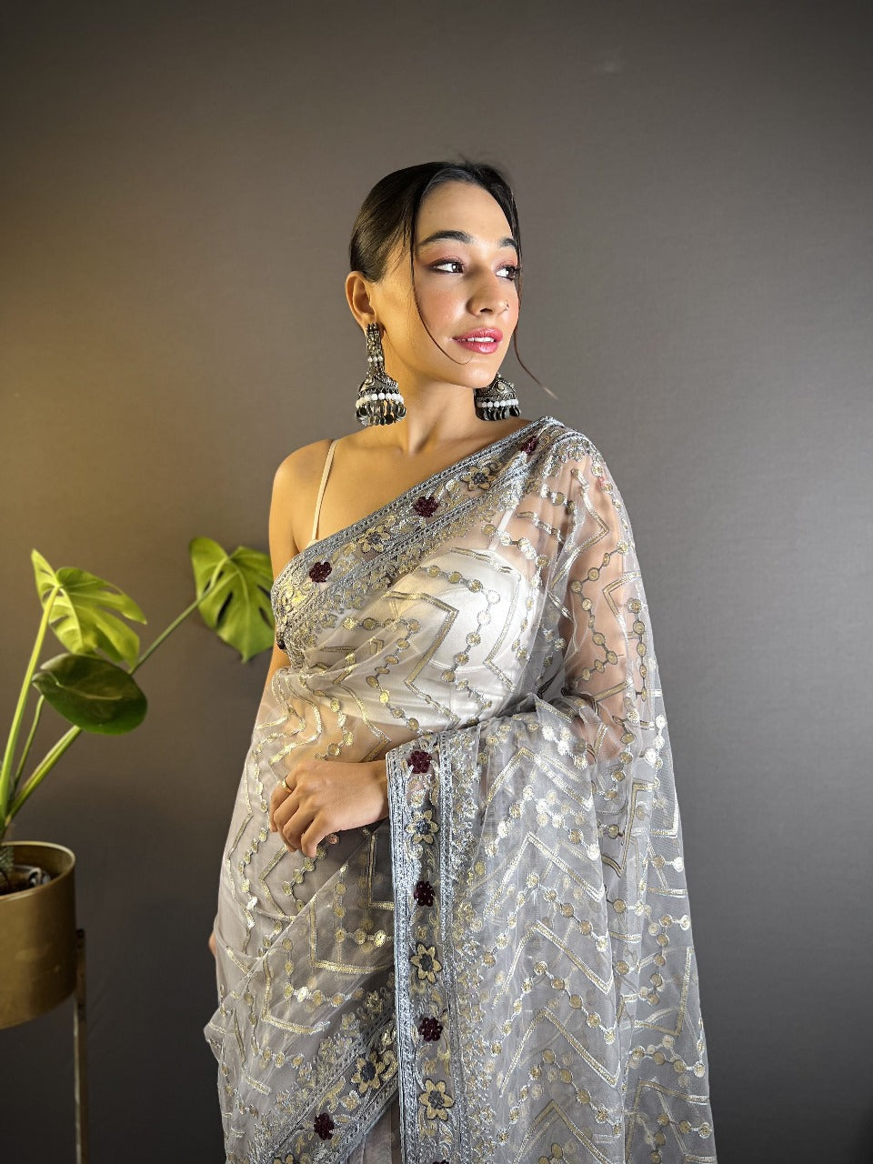 Grey RV Butterfly Net Embroidery Saree with Chain Stitch, Foil Thread & Stone Work